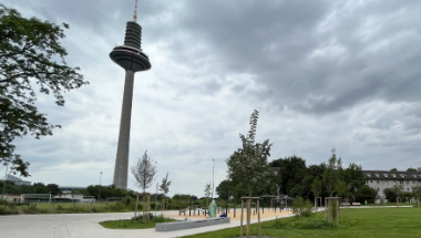 Grünes Ypsilon-Ginnheim/Dornbusch, FFM, Grünzug Platenstraße - Freiflächen